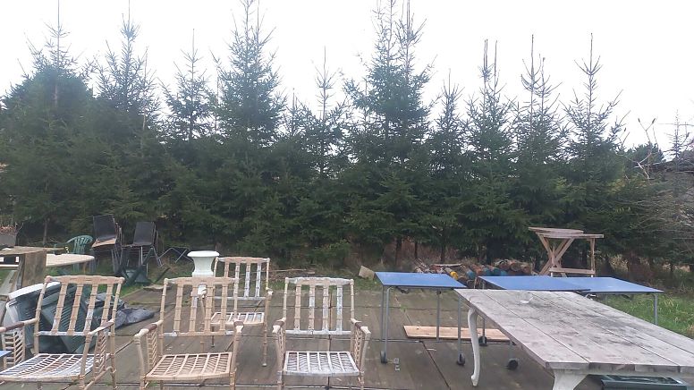 Herplante kerstbomen van TuinindeStad na 6 tot 8 jaar.