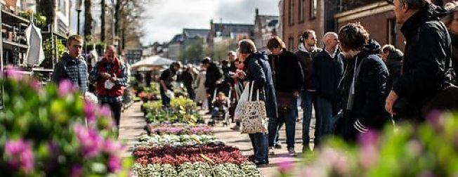 Zo wordt de Bloemenjaarmarkt georganiseerd // Gronings softwarebedrijf Klippa gaat verder als Doxis